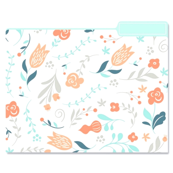 Eccolo File Folder Set. 9 file folders (3 of each style).Sale price firm - Picture 10 of 11